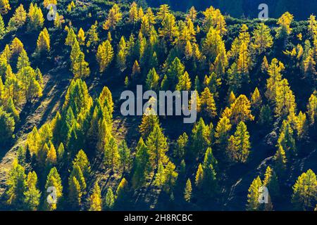 Vue sur Berchtesgaden et les vallées de Jenner Alm sur Jenner Mountain à environ 1800m asl dans les Alpes bavaroises, la haute-Bavière, le sud de l'Allemagne Banque D'Images