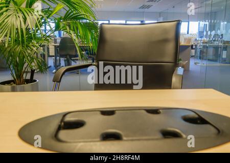 vue sur un bureau en plastique noir range câble de bureau dans un bureau en chêne clair vers une chaise de bureau noire et chromée, plante verte et bureau Banque D'Images