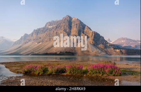 Fireadventis avec Bow Lake et Mountain Glacier, Banff National Pakr, Alberta, Canada. Banque D'Images