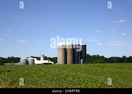 Culture de légumes/céréales dans le New Jersey rural, Etats-Unis .Dépendances et silos au bout des champs.Le New Jersey est également connu sous le nom de Garden State. Banque D'Images