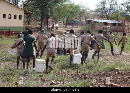 Gwanda, province de Matabeleland-Sud du Zimbabwe.3 novembre 2021.Les élèves portent des seaux d'eau dans une école primaire de Gwanda, province du Sud de Matabeleland, Zimbabwe, 3 novembre 2021.Les projets de forage de trous de sonde financés par la Chine fournissent une bouée de sauvetage aux communautés pauvres en eau en Afrique où l'accès facile à l'eau potable reste un défi pour certaines populations du continent.POUR ALLER AVEC 'Feature: Les projets d'eau soutenus par la Chine apportent de la joie aux communautés en Afrique' Credit: Chen Yaqin/Xinhua/Alamy Live News Banque D'Images