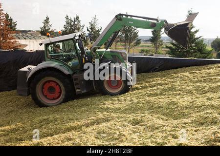 Pelle hydraulique de tracteur formant un tas de maïs fourrager haché Banque D'Images