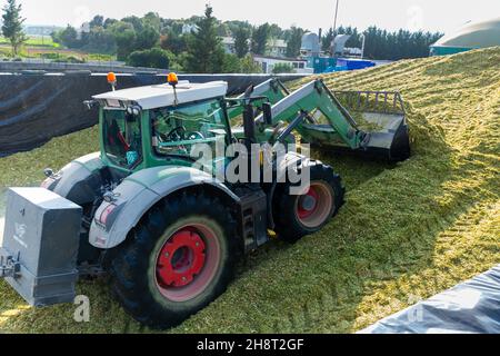 Tracteur avec godet avant formant tas de maïs d'alimentation haché Banque D'Images