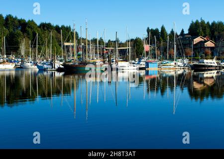 Bateaux commerciaux et de plaisance amarrés dans le port/port de plaisance d'Ucluelet, côte ouest de l'île de Vancouver, Colombie-Britannique, Canada, emmenés de la route menant à la station balnéaire de Waters Edge Banque D'Images