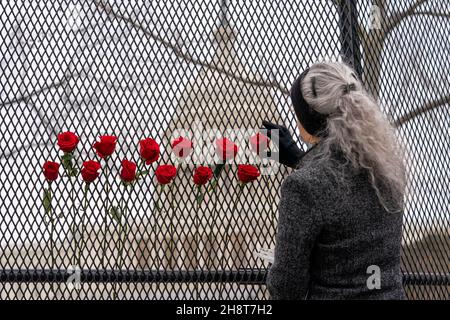 Washington, États-Unis.02e décembre 2021.Patty Raine place des roses dans la barrière de sécurité qui entoure le Capitole des États-Unis à la suite des foules pro-Trump qui ont franchi le périmètre de sécurité et ont pénétré le Capitole des États-Unis à Washington, DC, le vendredi 8 janvier 2021.La clôture restera en place jusqu'à l'inauguration du président Joe Biden et du vice-président Kamala Harris.Photo de Ken Cedeno/UPI crédit: UPI/Alay Live News Banque D'Images