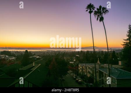 28 novembre 2021: Le coucher de soleil dans la région de la baie de San Francisco vu de la baie est au-dessus de l'UC Berkeley à Berkeley, Californie, le mercredi 1er décembre 2021.La vue panoramique depuis les collines inclut Oakland, UC Berkeley, Berkeley Marina, Bay Bridge, San Francisco,Treasure Island, Alcatraz, Golden Gate Bridge, Marin, Marin Headlands,et inclut des sapins de douglas, baie, montagnes, gratte-ciel, ponts,Et les nuages roses, orange et rouges (Credit image: © Rishi DekaZUMA Press Wire) Banque D'Images