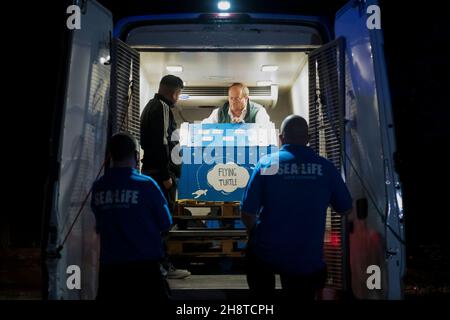 Avril, une tortue de mer de ridley olive, arrive à Sea Life Loch Lomond à Glasgow, après avoir voyagé du Centre de réhabilitation de la tortue au four Seasons Resort à Kuda Huraa, Maldives.Date de la photo : 20 novembre 2021.Voir PA Story ENVIRONNEMENT Turtle Maldives.April, qui a été relocalisée dans sa nouvelle maison à Sea Life Loch Lomond, a été trouvée flottant sur la surface de l'océan à Raa Atoll aux Maldives, empêtré dans un filet de pêche jeté avec son flipper avant droit manquant et un sac en plastique autour de son cou.Elle est incapable de plonger en raison de problèmes de flottabilité, rendant un retour à la nature impossible. Banque D'Images