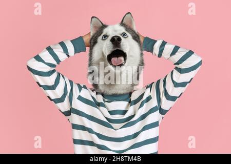 Œuvres d'art contemporaines, collage conceptuel.Jeune homme élégant en chandail rayé dirigé par la tête de chien isolé sur fond violet au néon.Surréalisme Banque D'Images