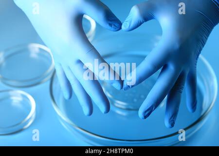 Les mains du médecin en gants montrent la forme du cœur.Amour et gratitude aux médecins. Banque D'Images