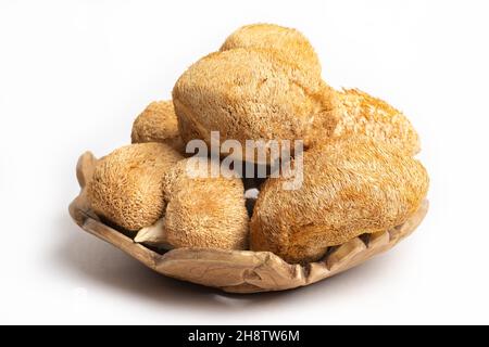 Champignons de la Mane du Lion séchés ou Hericium erinaceus également appelé champignon de la dent barbu, champignon de la tête de singe, yamabuchitake. Banque D'Images