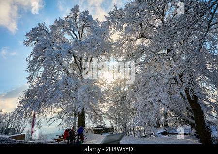 Les arbres sur le mont Hohenstaufen sont couverts de gel épais créant une atmosphère sublime et hideuse lors d'une journée hivernale froide. Banque D'Images