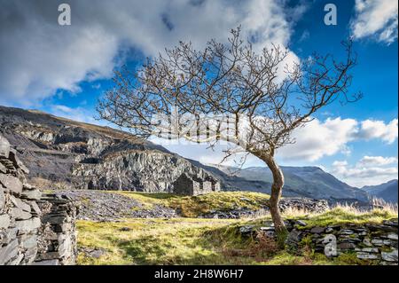 Ce sont les maisons de mineurs de la carrière d'ardoise Dinorwic abandonnée située au-dessus du village gallois de Llanberis, dans le nord du pays de Galles Banque D'Images