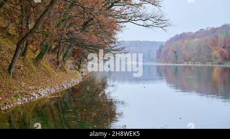 Rhin après la chute du grand Rhin à Schaffhausen en automne.L'eau coule calmement dans le froid et le fogg jour d'automne. Banque D'Images