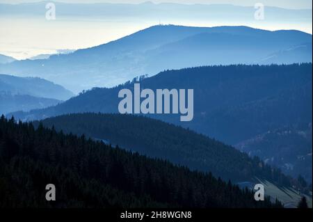 Rhin après la chute du grand Rhin à Schaffhausen en automne.L'eau coule calmement dans le froid et le fogg jour d'automne. Banque D'Images