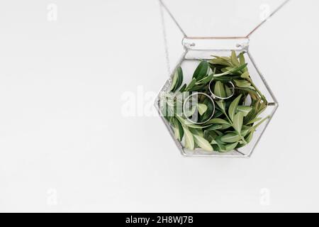 Deux anneaux de mariage en or blanc dans une boîte en verre sur le vert.Cercueil en verre sur fond blanc. Anneaux pour la mariée et le marié. Place pour le texte, copie du spac Banque D'Images