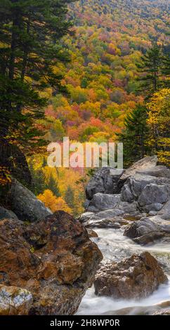 Feuillage d'automne sur un flanc de montagne derrière la rivière Ellis au-dessus de Glen Ellis Falls, Highway 16 près de Pinkham Notch, New Hampshire, États-Unis Banque D'Images