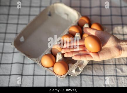 Quelques oeufs bruns parmi les cellules vides d'un grand sac en carton, un oeuf de poulet comme un produit nutritif précieux, un plateau pour transporter et stocker les fragi Banque D'Images