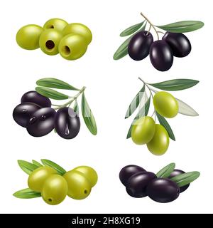 Olives vertes.Gros plan grèce authentique olives alimentaires branches produits ingrédients décents vecteur illustrations ensemble Illustration de Vecteur
