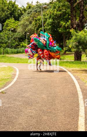 Goias, Brésil – 1er décembre 2021 : le vendeur de ballons dans un parc.Une personne tenant plusieurs ballons qui cachent son corps entier. Banque D'Images