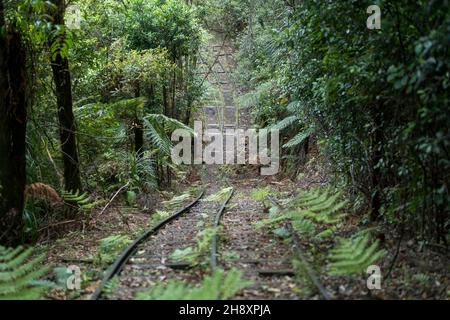 Voie ferrée abandonnée, piste de randonnée minière d'or de te Aroha Mountain, Nouvelle-Zélande Banque D'Images