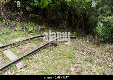 Voie ferrée abandonnée, piste de randonnée minière d'or de te Aroha Mountain, Nouvelle-Zélande Banque D'Images