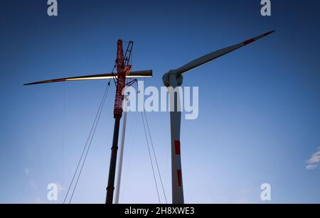 02 décembre 2021, Schleswig-Holstein, Brunsbüttel: Une grue mobile est utilisée pour monter la troisième pale de rotor sur une éolienne Enercon (E150) dans un parc éolien entre Marne et Brunsbüttel.Selon une étude, les économies de CO2 d'ici 2030 pourraient plus que doubler par rapport aux plans précédents de la grande coalition en raison des plans d'énergie éolienne et solaire de la coalition des feux de circulation.Photo: Christian Charisius/dpa Banque D'Images