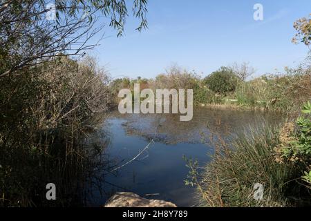 Tel Afek, réserve naturelle en Israël Banque D'Images