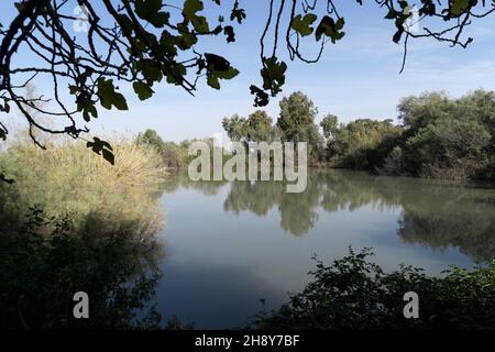 Tel Afek, réserve naturelle en Israël Banque D'Images