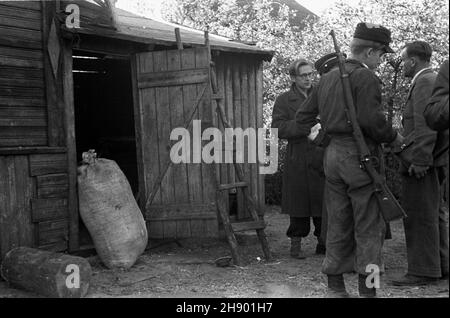 Legionowo, 1947.Milicja Obywatelska (Mo) i Korpus Bezpieczeñstwa Wewnêtrznego (KBW) przeprowadzi³y akcjê likwidacji nielegalnych gorzelni i bimbrowni W okolicach Legionowa i Jab³onny. bk/ms PAP Dok³adny miesi¹c i dzieñ wydarzenia nieustalone.Legionowo, 1947.Citoyens Milice et les officiers du corps de sécurité militaire découvrent l'installation illégale de lune près de Legionowo et Jablonna. bk/ms PAP Banque D'Images