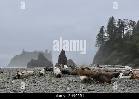 Ruby Beach sur l'océan Pacifique dans le parc national olympique par un jour de brouillard, péninsule olympique, Washington Banque D'Images