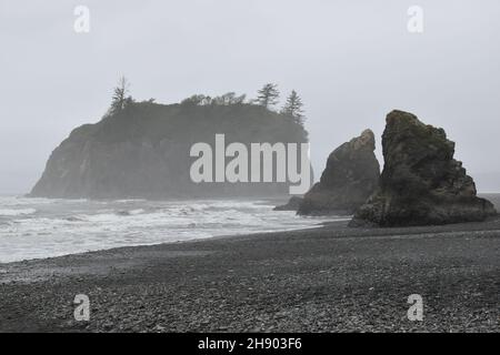 Ruby Beach sur l'océan Pacifique dans le parc national olympique par un jour de brouillard, péninsule olympique, Washington Banque D'Images