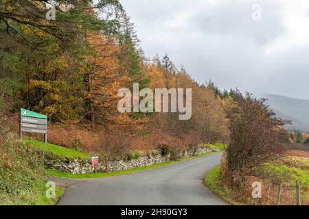 Vue d'automne à Whinlatter Pass dans le parc national de Lake District en novembre, Cumbria, Angleterre, Royaume-Uni Banque D'Images