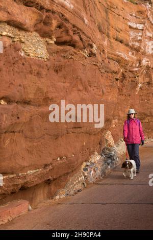 Une femme marchant le long de l'esplanade devant les falaises rouges de la côte jurassique à Sidmouth, Devon Royaume-Uni en novembre Banque D'Images