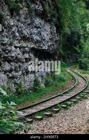 vieux chemin de fer dans une gorge de forêt verte Banque D'Images