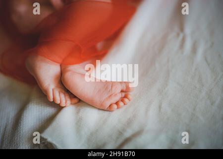 Jambes d'un nouveau-né.Pieds de bébé recouverts d'une couverture rouge.Le pied minuscule d'un nouveau-né en foyer doux sélectif.Photo de haute qualité Banque D'Images