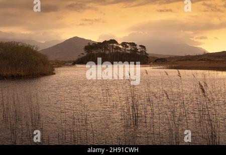 Magnifique coucher de soleil paysage paysage de douze pins île au lac Derryclare à Athry, comté de Galway, Irlande Banque D'Images