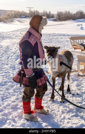 Homme sami portant gákti calmant un renne nerveux attaché à un traîneau lors d'une journée enneigée et ensoleillée à Masi, Norvège Banque D'Images