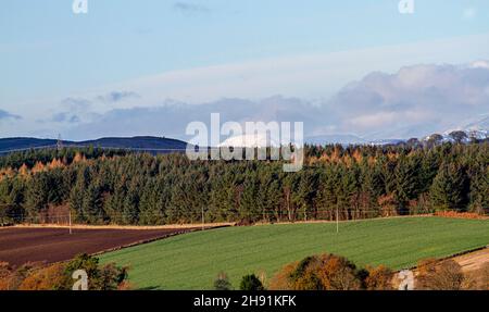 Dundee, Tayside, Écosse, Royaume-Uni.3 décembre.Météo au Royaume-Uni : début décembre, le temps dans le nord-est de l'Écosse est agréable et lumineux avec des sommets d'environ 7°C.Les collines de Sidlaw ont une vie florale riche, une archéologie importante et une place unique dans l'histoire scientifique pour une expérience du XVIIIe siècle dans la « pesée du monde » avec une vue sur le pic de Schiehallion couvert de neige en arrière-plan.Crédit : Dundee Photographics/Alamy Live News Banque D'Images