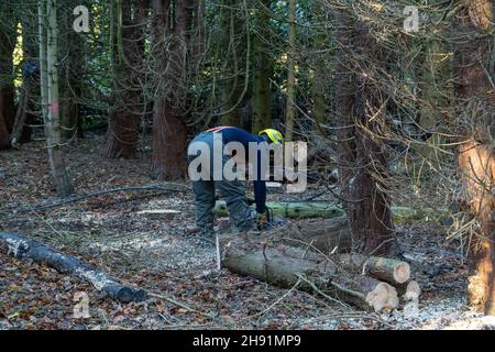 St Cyrus, Aberdeenshire, Écosse, 3 décembre 2021: Photo: Les ingénieurs de SSEN déracinés arbres et débris qui ont entraîné des lignes électriques basse tension à la périphérie de St Cyrus.Les propriétés dans ce domaine ont été sans pouvoir pendant 7 jours.Les ingénieurs ont travaillé sur le réseau électrique, de la haute tension à la moyenne tension, et enfin aux systèmes basse tension, qui sont les lignes électriques que l'on voit entrer dans nos maisons.Les ingénieurs travaillent dans des conditions dangereuses, ils ont travaillé de longues heures pour essayer de restaurer l'alimentation électrique des maisons.Credit:Barry Nixon/Alay Live News Banque D'Images