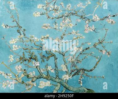 Vincent van Gogh, Almond Blossom, 1890, huile sur toile, Amsterdam,Pays-Bas Banque D'Images