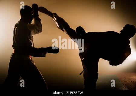 Deux combattants posant à l'entraînement d'Aikido dans l'école d'arts martiaux. Mode de vie sain et concept sportif Banque D'Images