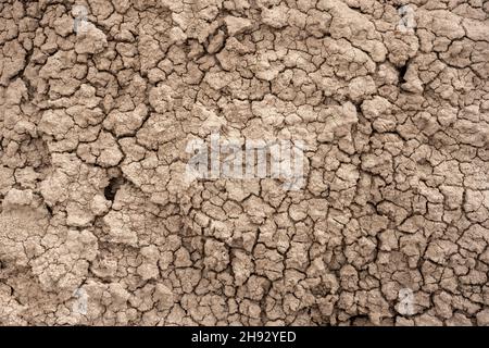 Texture de boue séchée de Hoodoos dans le parc national de la forêt pétrifiée Banque D'Images