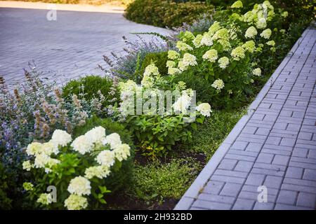 Parterre à fleurs avec des hortensias et d'autres fleurs lors d'une journée ensoleillée d'été Banque D'Images