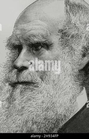 Charles Darwin (1809-1882).Scientifique britannique et naturaliste.Auteur de la «à l'origine des espèces», 1859.Portrait.Illustration par Badillo.Gravure par Arturo Carretero.La Ilustración Española y Americana, 1882. Banque D'Images