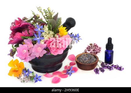 Fleurs médicinales et herbes pour les huiles d'aromathérapie dans un mortier avec bouteille d'huile essentielle.Phytothérapie à base de plantes santé et bien-être concept. Banque D'Images