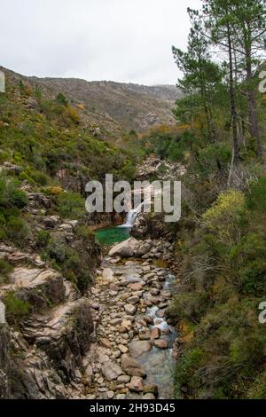 Mata de Albergaria dans la réserve de biosphère de Geres-Xures.Treeking et marche à l'extérieur.Portugal.Rio Homem. Banque D'Images