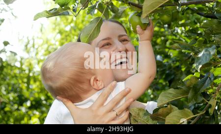 Portrait d'un petit garçon qui atteint la pomme verte mûre accrochée à la branche de l'arbre dans le verger.Concept de nourriture biologique, nutrition, santé familiale et Banque D'Images