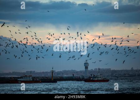 Istanbul, Turquie.03ème décembre 2021.Vue sur le phare d'Inciburu.Crédit : SOPA Images Limited/Alamy Live News Banque D'Images