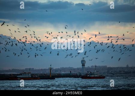 Istanbul, Turquie.03ème décembre 2021.Vue sur le phare d'Inciburu.(Photo par Onur Dogman/SOPA Images/Sipa USA) crédit: SIPA USA/Alay Live News Banque D'Images