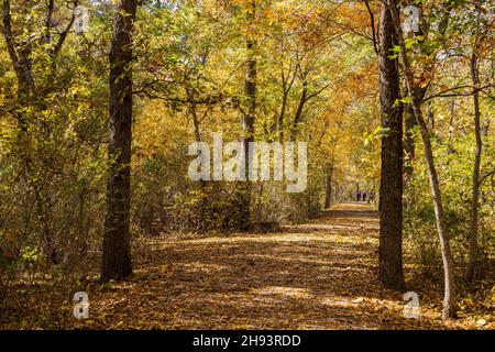 La couleur d'automne du sentier naturel dans l'aire de loisirs nationale de Chickasaw, en Oklahoma Banque D'Images